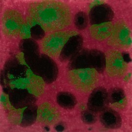 Maroon Lagoon - 16-oz Mayco Jungle Gem Crystal Glaze